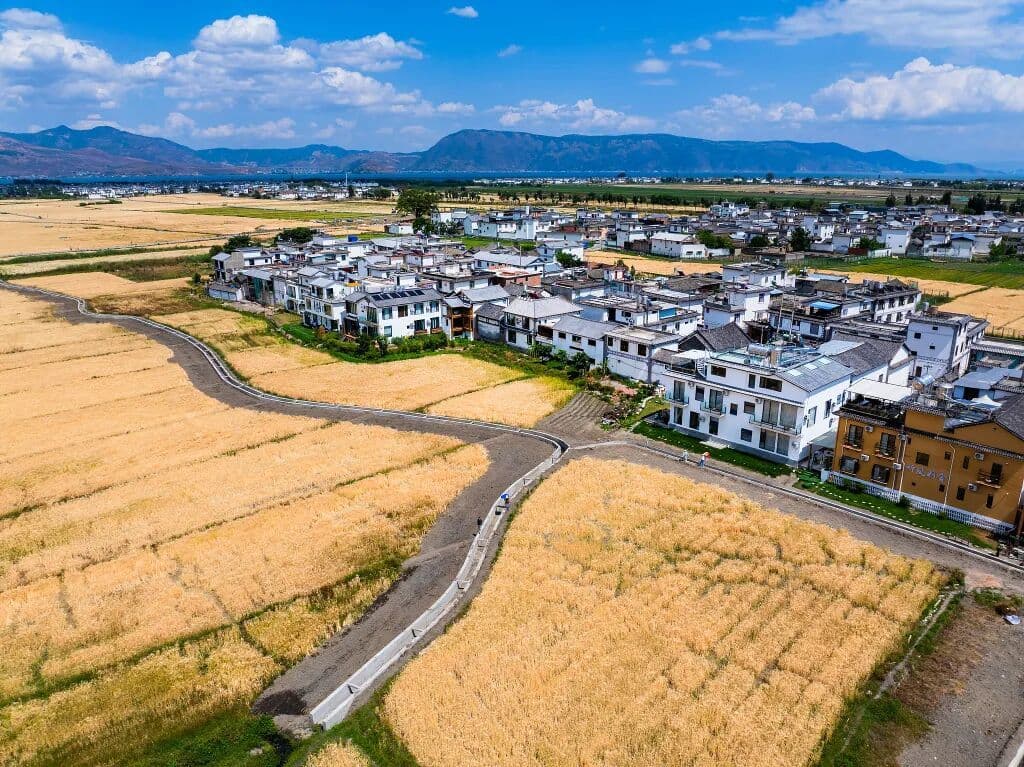 未来人类学家|熊志颖:制作咖啡与编织文化——当代西镇的“陌生人”研究